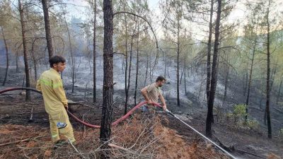 BURSA-KÜTAHYA-BALIKESİR SINIRLARI ARASINDA BULUNAN ORMANLIK ALANDA ÇIKAN YANGIN, EKİPLERİN MÜDAHALESİYLE
