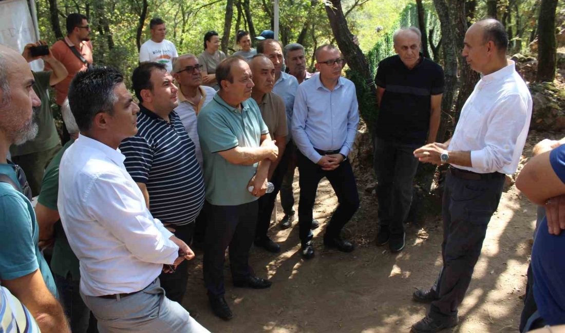 ÇAN KENT KONSEYİ İNKAYA MAĞARASI’NDA DEVAM EDEN KAZI ÇALIŞMALARINI İNCELEDİ