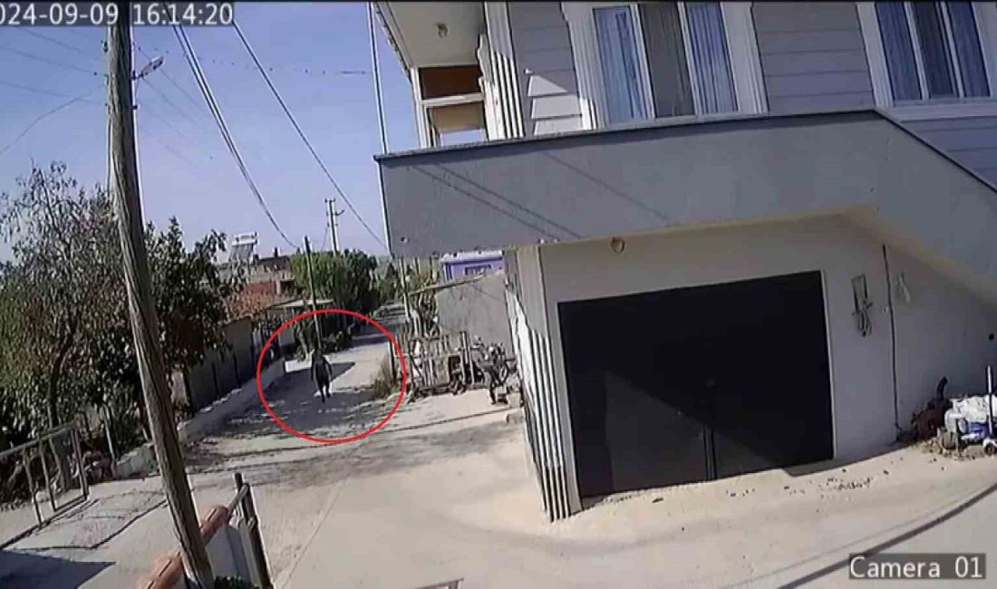 KÖYDE BULUNAN GÜVENLİK KAMERALARI TEK TEK İNCELENDİ. RESUL'ÜN EN SON,