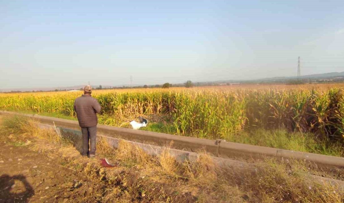 ÇANAKKALE'NİN EZİNE İLÇESİNDE MEYDANA GELEN TRAFİK KAZASINDA OTOMOBİL MISIR TARLASINA