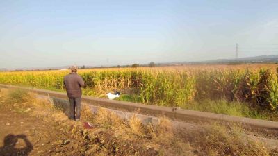 ÇANAKKALE'NİN EZİNE İLÇESİNDE MEYDANA GELEN TRAFİK KAZASINDA OTOMOBİL MISIR TARLASINA