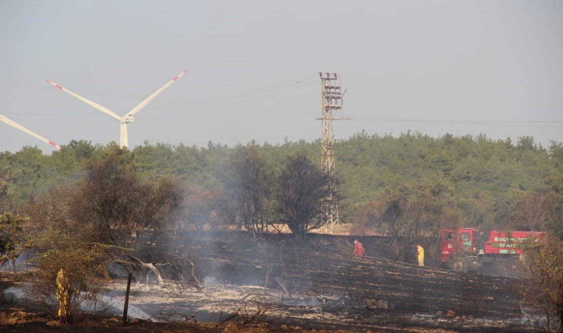 ÇANAKKALE'NİN BAYRAMİÇ İLÇESİ YENİKÖY KÖYÜNDE TARLADA BAŞLAYAN YANGIN ORMANLIK ALANA