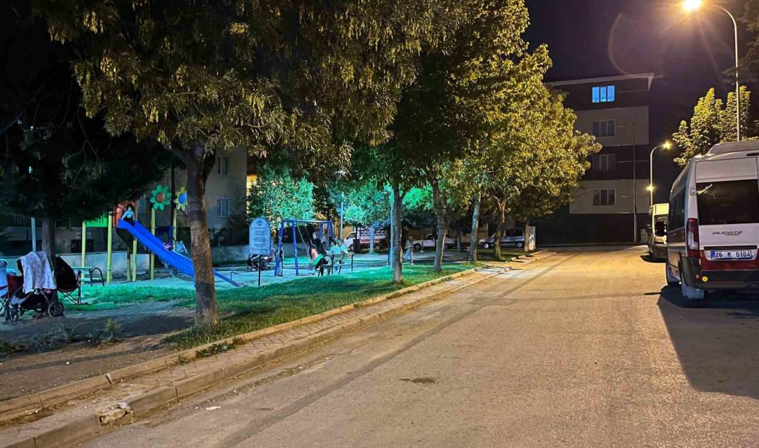 ESKİŞEHİR’DE 13 YAŞINDAKİ ÇOCUK, KARDEŞİNİ DARP EDEN 14 YAŞINDAKİ ÇOCUĞU