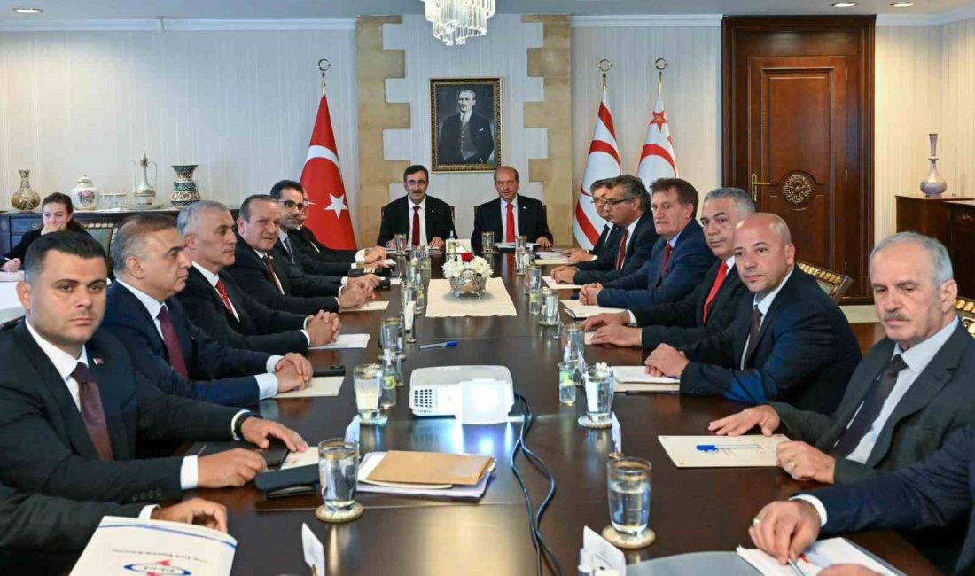 CUMHURBAŞKANI YARDIMCISI YILMAZ: “AMACIMIZ KKTC’NİN EKONOMİK VE SOSYAL KALKINMASINA DESTEK