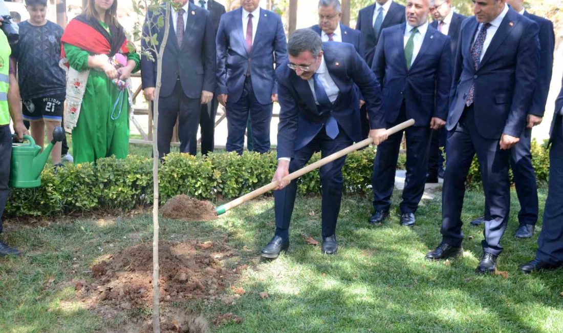 CUMHURBAŞKANI YARDIMCISI CEVDET YILMAZ, VALİLİK BAHÇESİNE ÇINAR AĞACI FİDESİ DİKTİ