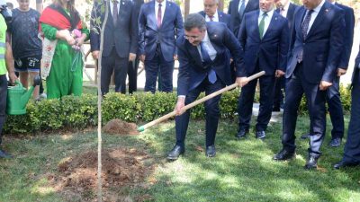 CUMHURBAŞKANI YARDIMCISI CEVDET YILMAZ, VALİLİK BAHÇESİNE ÇINAR AĞACI FİDESİ DİKTİ