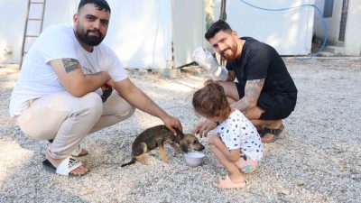 HATAY’IN ANTAKYA İLÇESİNDE YAŞAYAN İBRAHİM KOÇAK İLE MURAT ASAN, ARKADAŞLARININ