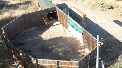 DOĞA KORUMA VE MİLLİ PARKLAR 2. BÖLGE BURSA ŞUBE MÜDÜRLÜĞÜ