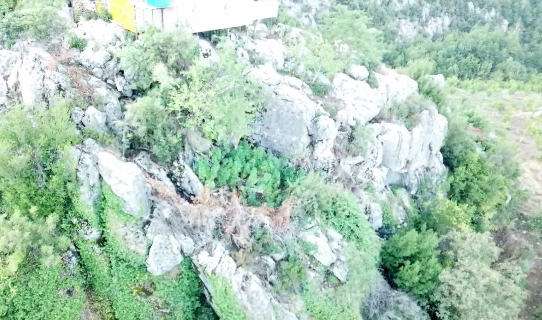 KAYALIKLAR ARASINDA YETİŞTİRİLEN  UYUŞTURUCU DRON İLE TESPİT EDİLDİ.