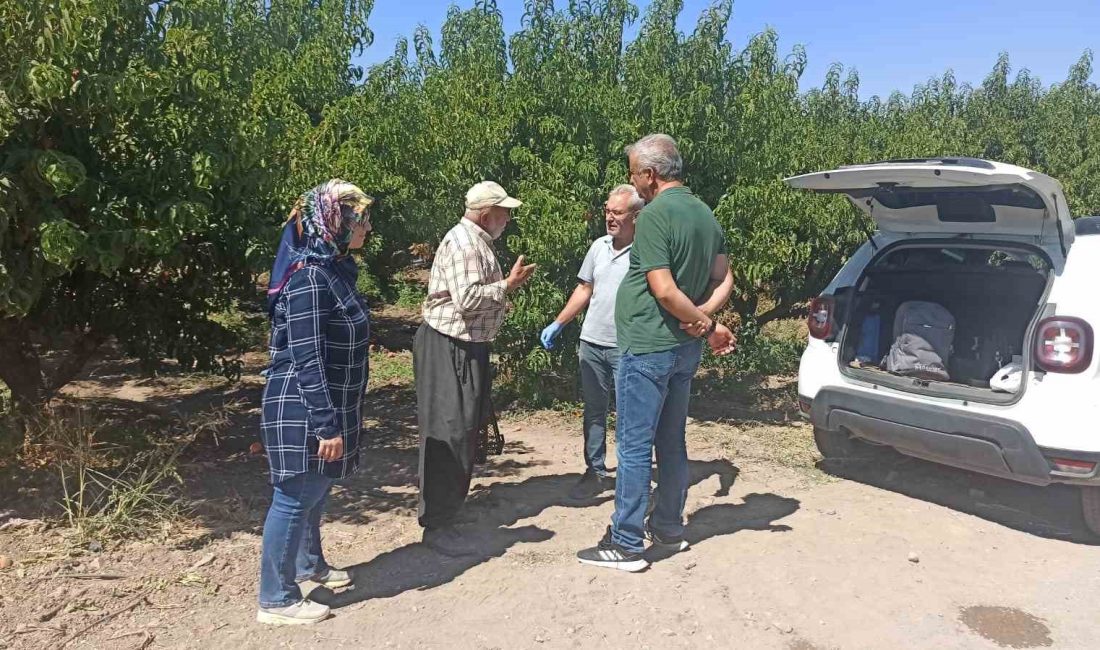 ELAZIĞ’DA ŞEFTALİ BAHÇELERİNDE ZARARLI KONTROLLERİ DEVAM EDİYOR