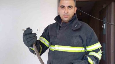 HATAY’DA EVE GİREN YILAN İTFAİYE EKİPLERİ TARAFINDAN YAKALANARAK DOĞAYA BIRAKILDI.