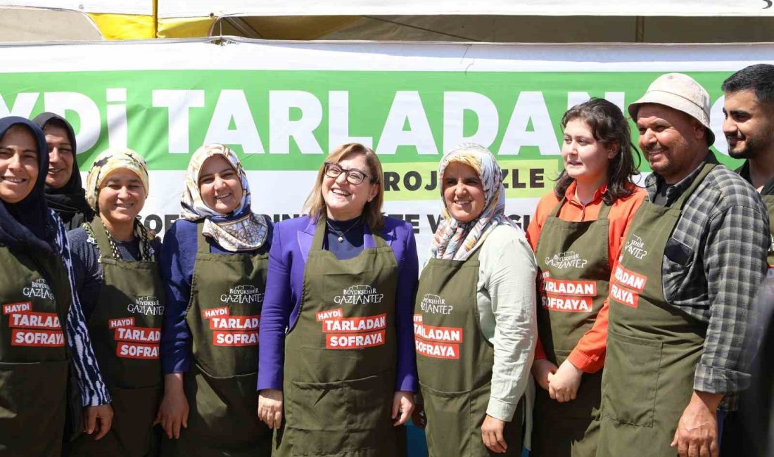 ŞAHİN, HAYDİ TARLADAN SOFRAYA PAZAR YERİ’NDEN ALIŞVERİŞ YAPTI