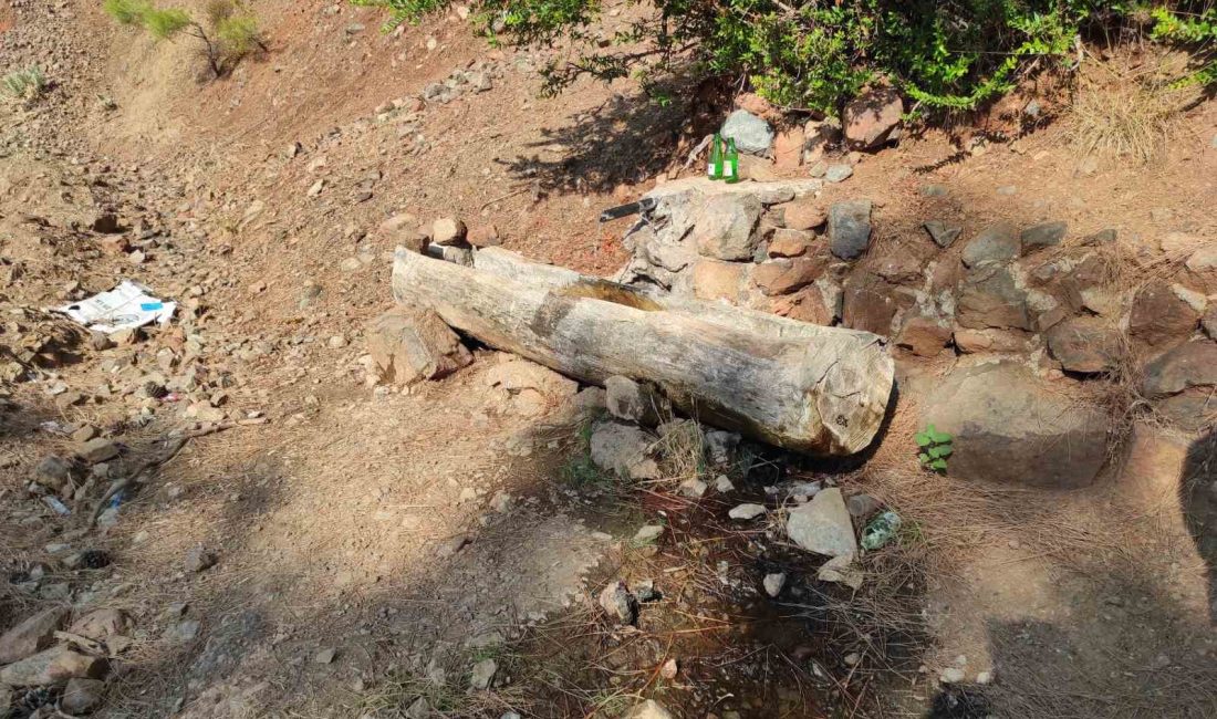 FETHİYE’DE ŞOK OLAY: ORMANDA TERK EDİLMİŞ BEBEK BULUNDU