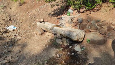 FETHİYE’DE ŞOK OLAY: ORMANDA TERK EDİLMİŞ BEBEK BULUNDU