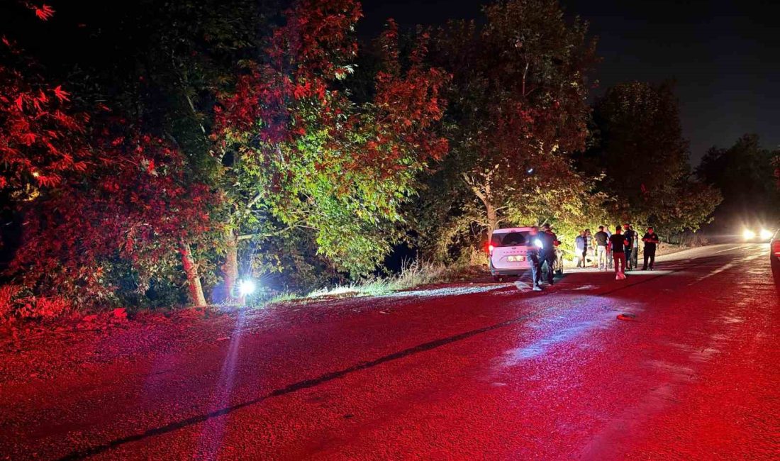 OLAY, SAAT 21.00 SIRALARINDA PAZARCI MAHALLESİ HACI MUSA CADDESİ’NDE MEYDANA