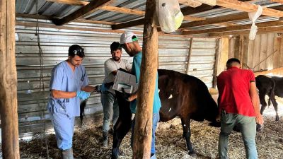 TARIM VE ORMAN BAKANLIĞI TARAFINDAN TRAKYA'NIN ŞAP HASTALIĞINDAN ARİLİĞİ ÇALIŞMALARININ