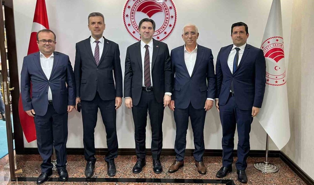 MARMARABİRLİK YÖNETİM KURULU BAŞKANI HİDAMET ASA, YAKLAŞAN HASAT SEZONU ÖNCESİ