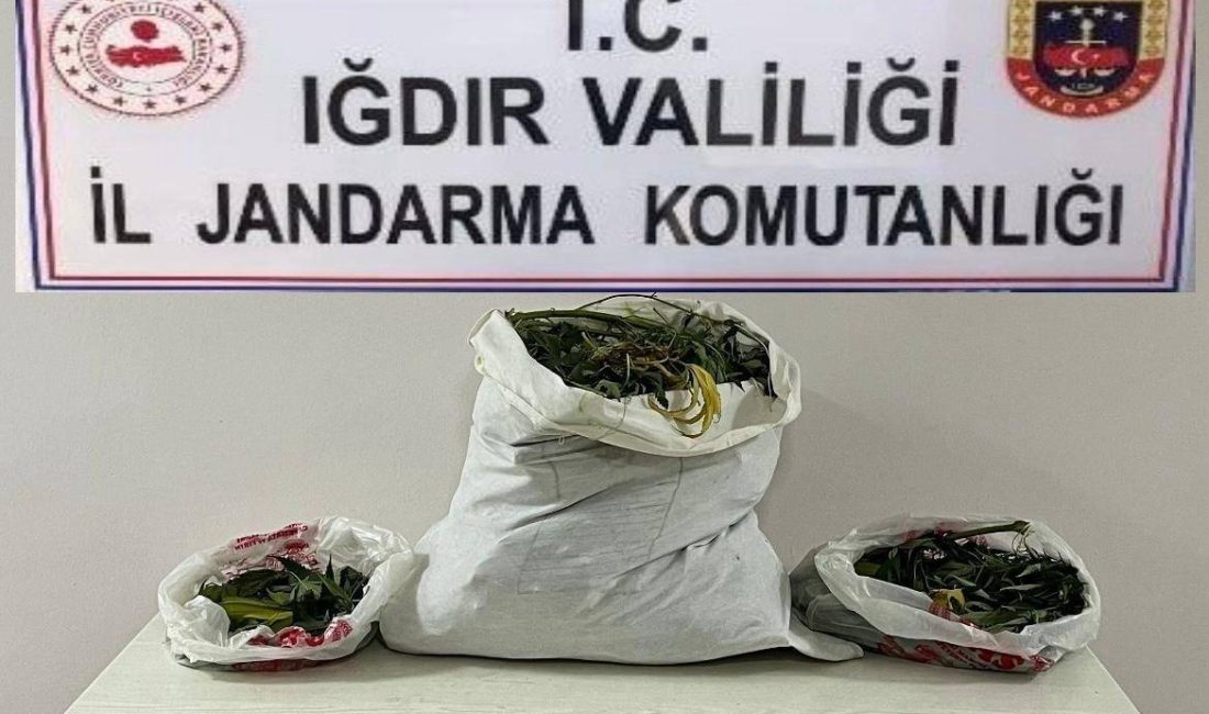 IĞDIR'DA FARKLI ADRESLERE UYUŞTURUCU OPERASYONU