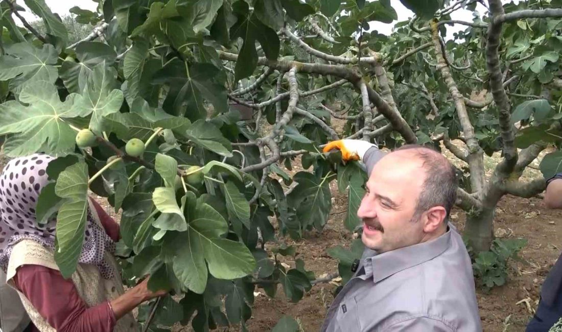 AK PARTİ MİLLETVEKİLİ MUSTAFA VARANK, ÜRETİCİLERİ ZİYARET ETTİ.
