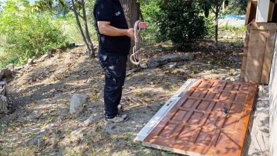 HATAY’DA EVE GİREN İTFAİYE EKİPLERİ TARAFINDAN YAKALANARAK DOĞAYA BIRAKILDI.