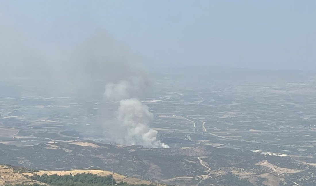 İZMİR'İN MENEMEN İLÇESİNDE ORMANLIK ALANDA ÇIKAN YANGINA HAVADAN VE KARADAN