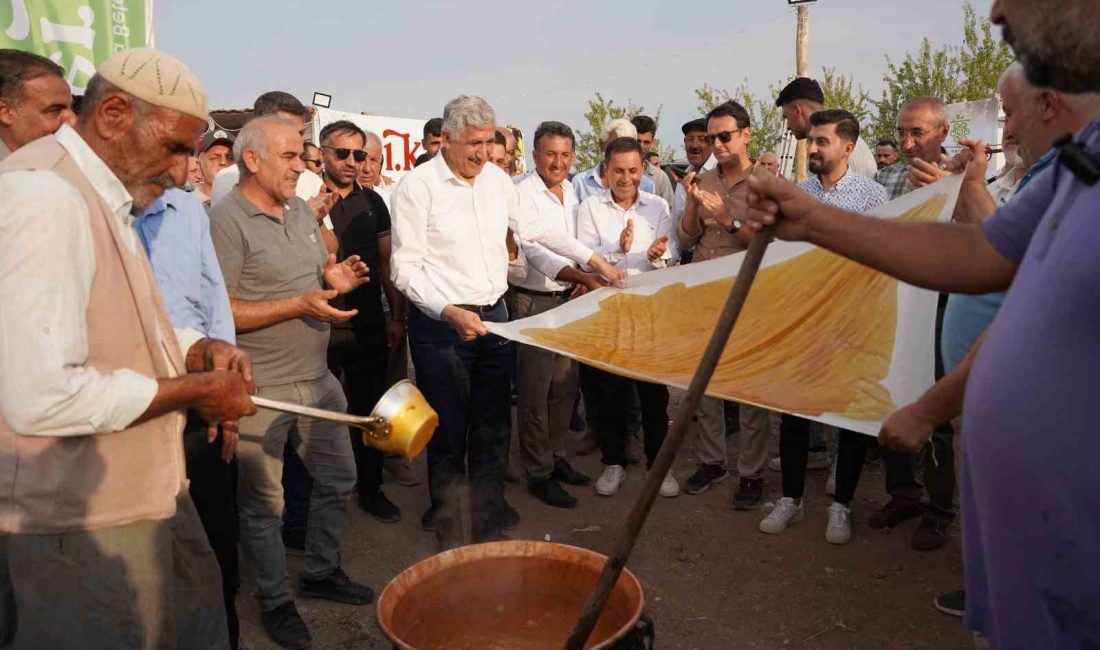 ADIYAMAN KAHTA BELEDİYESİ TARAFINDAN DÜZENLENEN 1. BAĞBOZUMU (KERGE) FESTİVALİ RENKLİ