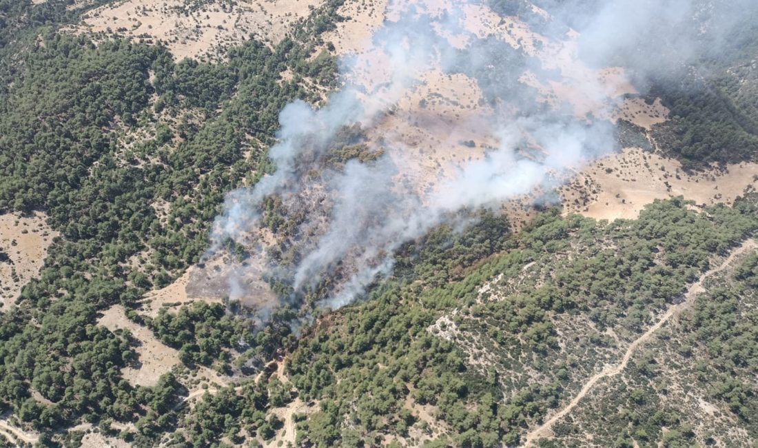 ANTALYA’NIN KAŞ İLÇESİNDE ÇIKAN ORMAN YANGININA HAVADA VE KARADAN MÜDAHALE