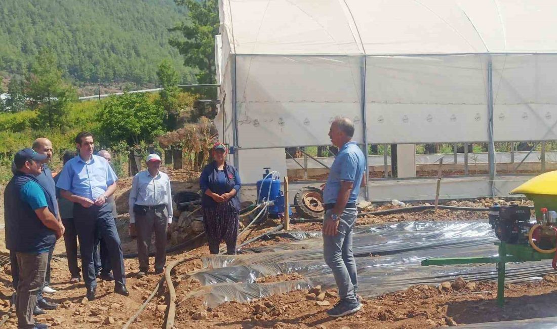 BOZYAZI KAYMAKAMI TUNCAY TOPSAKALOĞLU, KIRSAL DEZAVANTAJLI ALANLAR KALKINMA PROJESİ KAPSAMINDA