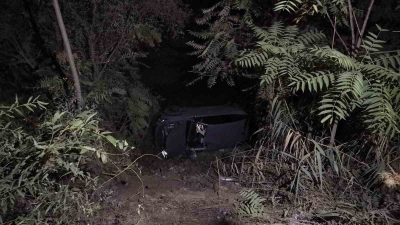 KONTROLDEN ÇIKAN OTOMOBİL DEREYE UÇTU; SÜRÜCÜSÜ YARALANDI