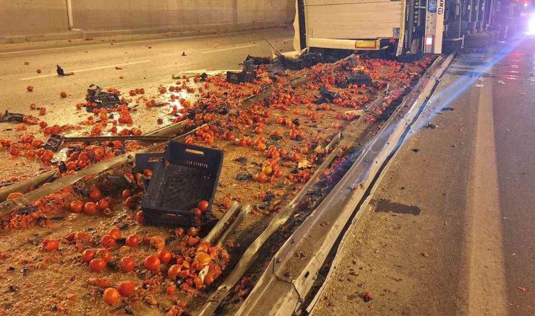 KONYA'NIN KARAPINAR İLÇESİNDE MEYDANA GELEN TRAFİK KAZASINDA 1 KİSİ HAYATINI