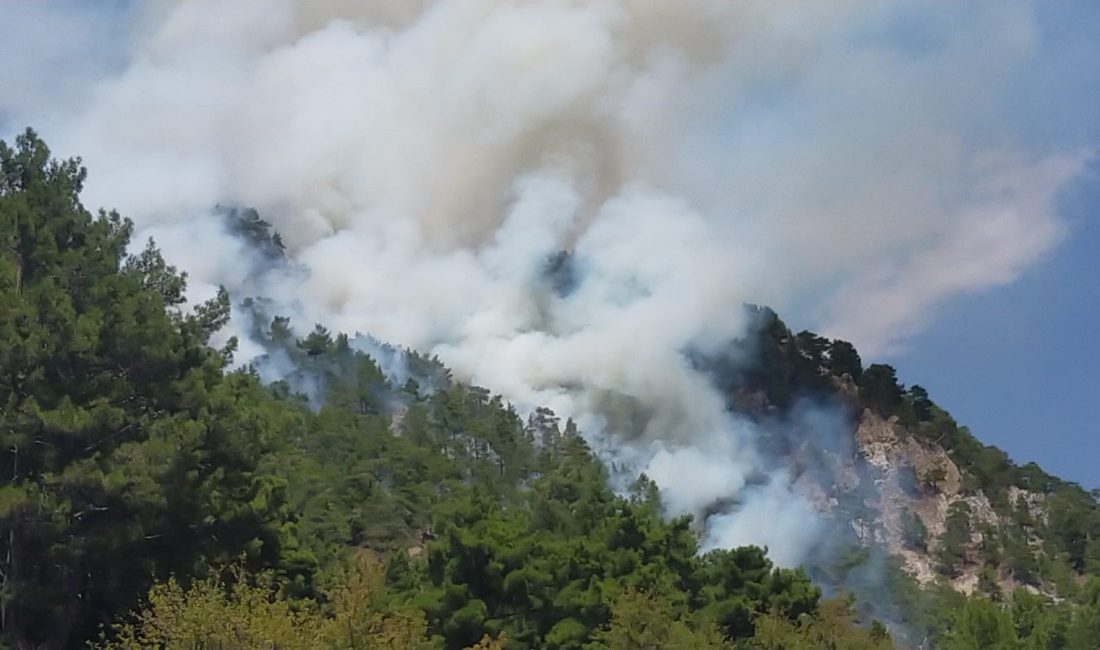 ANTALYA’NIN KUMLUCA İLÇESİNDE ORMAN YANGINI ÇIKTI. EKİPLER YANGINA HAVADAN VE