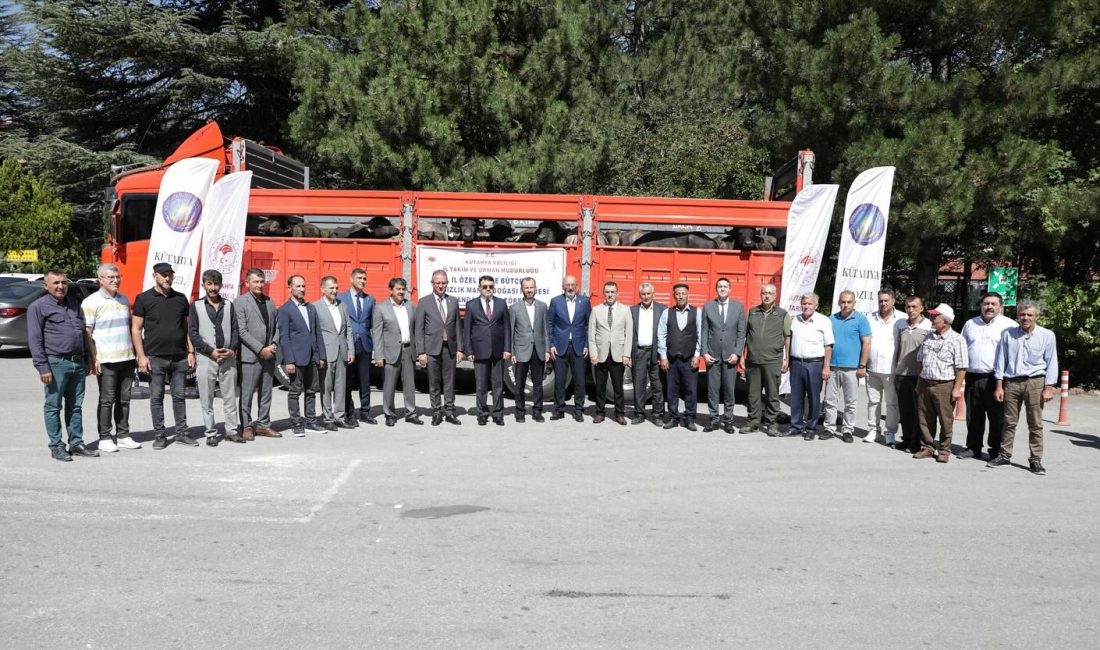 KÜTAHYA'DA MANDA YETİŞTİRİCİLERİNE DAMIZLIK DESTEĞİ