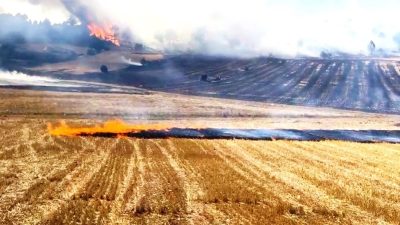 ASLANAPA’DA ORMANA SIÇRAYAN ANIZ YANGINI BÜYÜMEDEN SÖNDÜRÜLDÜ