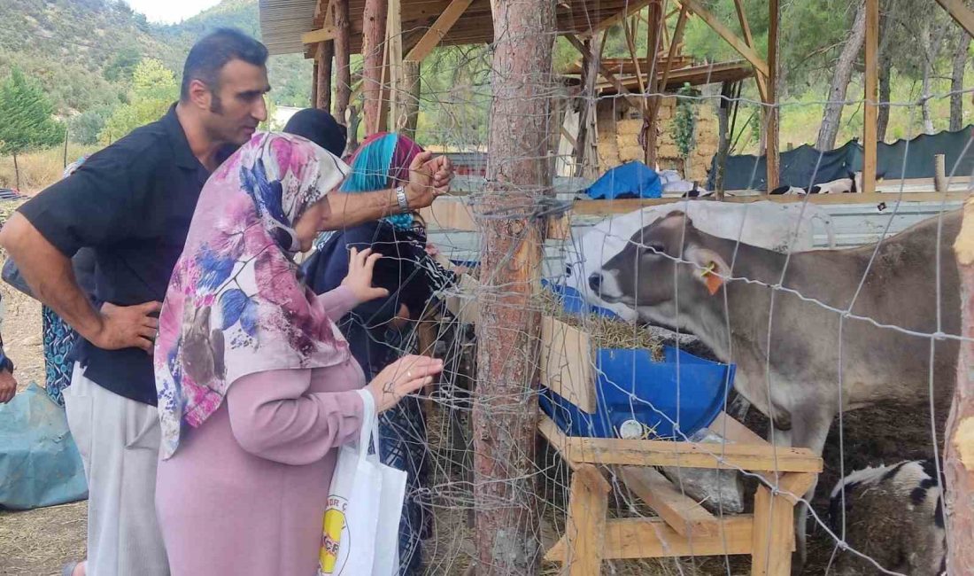 KÜTAHYALI KADIN ÜRETİCİLER BİLECİK'TE PERMAKÜLTÜR ÇİFTLİĞİNDE