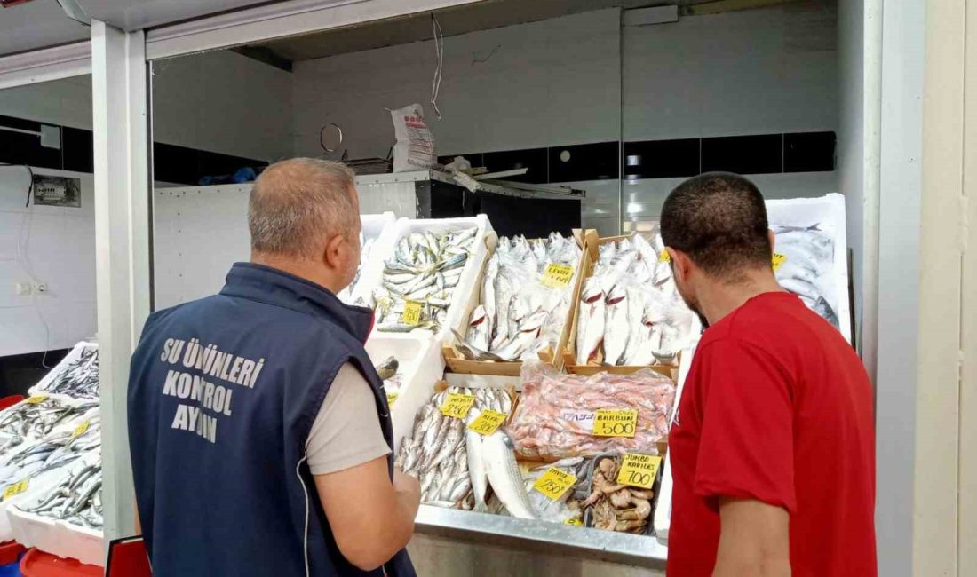 AYDIN'IN KUYUCAK İLÇESİNDE BULUNAN SU ÜRÜNLERİ SATIŞ YERLERİ KUYUCAK İLÇE