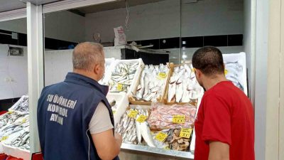 AYDIN'IN KUYUCAK İLÇESİNDE BULUNAN SU ÜRÜNLERİ SATIŞ YERLERİ KUYUCAK İLÇE