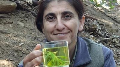 MİLLİ İSTİHBARAT TEŞKİLATI (MİT), PKK/KCK’NIN SÖZDE İRAN SORUMLUSU ‘NUJİYAN AMED’