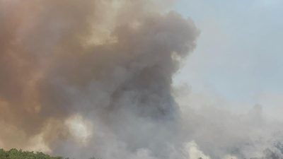 MUĞLA’DAKİ ORMAN YANGININI SÖNDÜRME ÇALIŞMALARI DEVAM EDİYOR