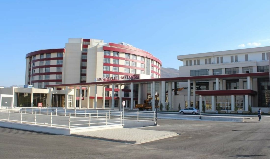 MUŞ MERKEZE BAĞLI TAŞOLUK KÖYÜNDE KAPILARININ ÖNÜNDE BULUNAN SU SIVATINA