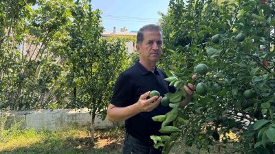 YÜREĞİR ZİRAAT ODASI BAŞKANI MEHMET AKIN DOĞAN, TARIM ÜRETİCİLERİNİN YAŞADIĞI