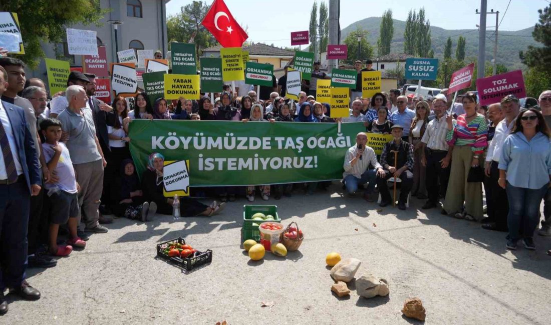 BURSA'NIN NİLÜFER İLÇESİ İNEGAZİ MAHALLESİNDE 124 HEKTARLIK ALANA YAPILACAK OLAN