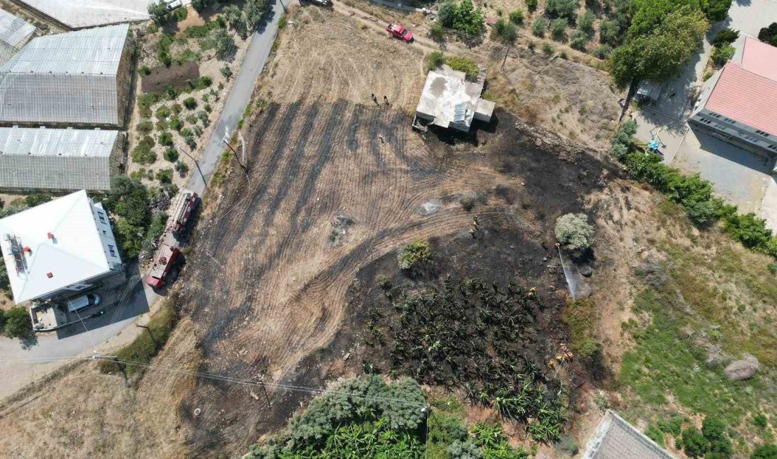 GAZİPAŞA'DA OTLUK ALANDA ÇIKAN YANGIN MUZ BAHÇESİNE ŞIÇRADI, OKUL PANİĞE
