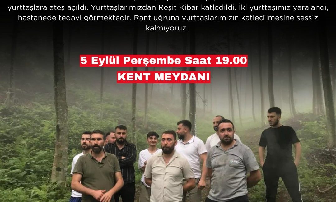 Artvin'in Hopa ilçesi Cankurtaran bölgesinde, mesire alanı projesi için planlanan