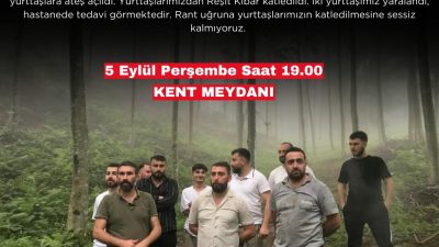 Artvin'in Hopa ilçesi Cankurtaran bölgesinde, mesire alanı projesi için planlanan