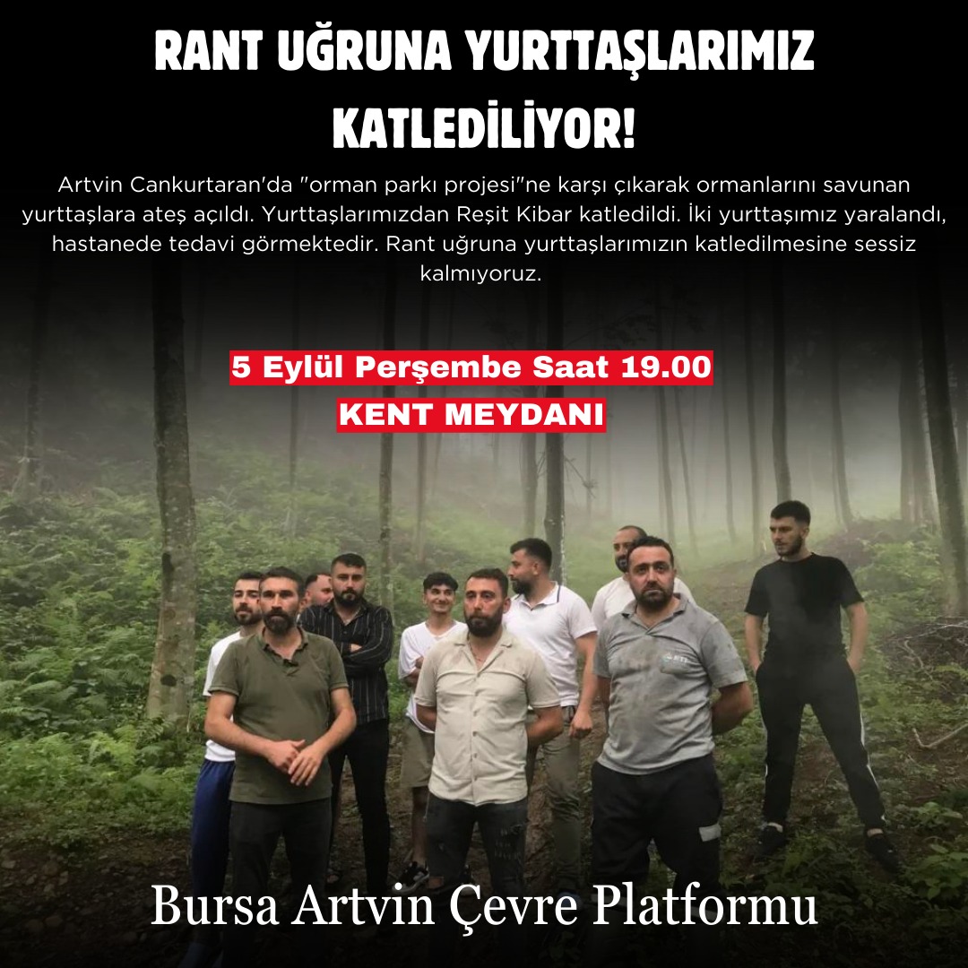 Artvin'in Hopa ilçesi Cankurtaran bölgesinde, mesire alanı projesi için planlanan