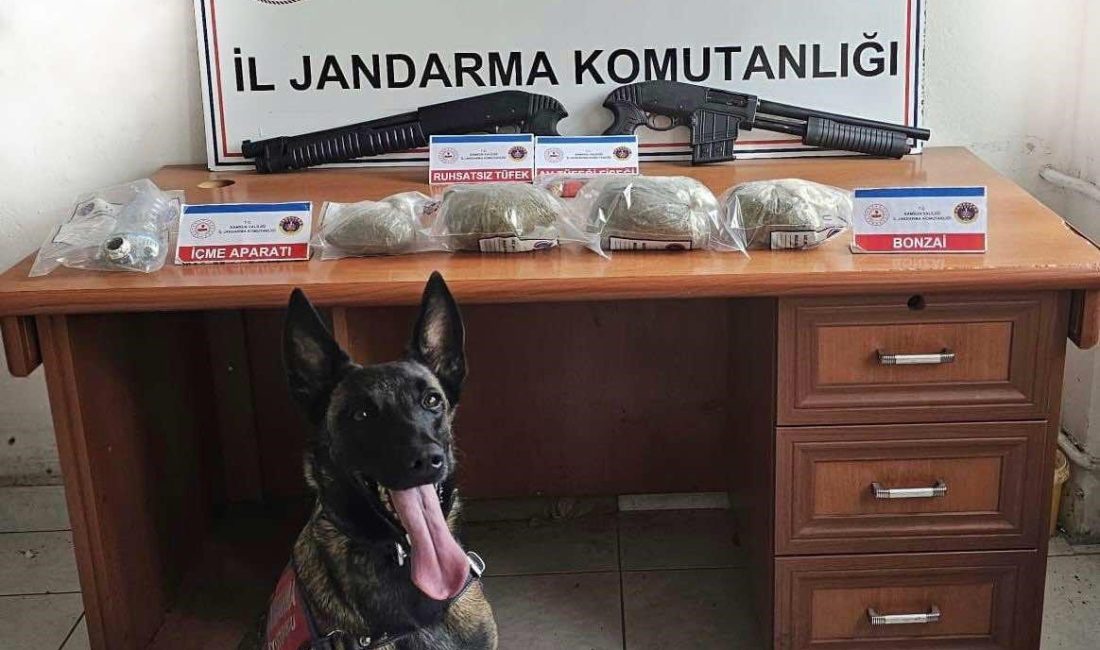 SAMSUN'DA JANDARMA EKİPLERİ TARAFINDAN 3 KİLO BONZAİ ELE GEÇİRİRKEN, 3