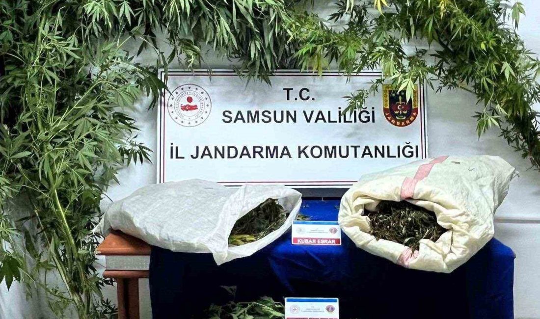 SAMSUN'DA JANDARMA EKİPLERİ TARAFINDAN DÜZENLENEN UYUŞTURUCU OPERASYONUNDA 8 KİLO KUBAR