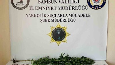 SAMSUN'DA POLİS TARAFINDAN İL GENELİNDE DÜZENLENEN NARKOTİK UYGULAMASINDA 28 KİŞİ