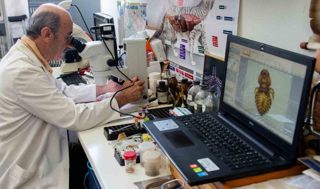 SELÇUK ÜNİVERSİTESİ VETERİNER FAKÜLTESİ ÖĞRETİM ÜYESİ PROF. DR. BİLAL DİK'İN