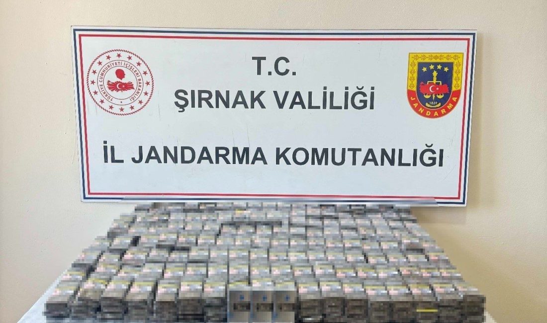 ŞIRNAK MERKEZ, SİLOPİ, CİZRE, ULUDERE VE İDİL İLÇELERİNDE DÜZENLENEN KAÇAKÇILIK